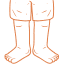 CTEV