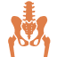 Hip Preservation Surgery