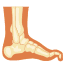 Limb Deformities